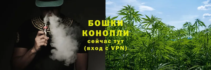 omg зеркало  Торжок  Шишки марихуана THC 21% 